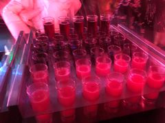 -贰麻酒馆(1912店)