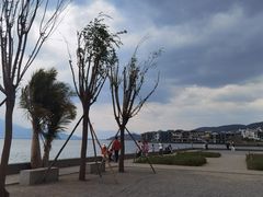 -南诏风情岛