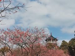 -无锡梅园公园