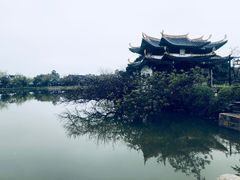 -江心屿景区