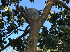 -费瑟代尔野生动物园