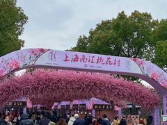 -南汇桃花村