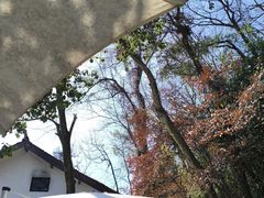 -龙井壹号·茶缘山景宴(龙井村店)