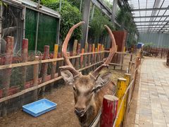 -呀路古热带植物园