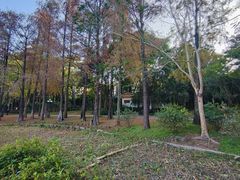 -荔枝公园(福田区)