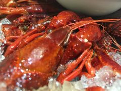 -怪怪龙虾·澳洲蓝龙王·深夜食堂(惊驾路店)
