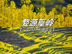 -大鄣山卧龙谷景区