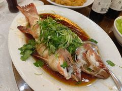 -广东名门