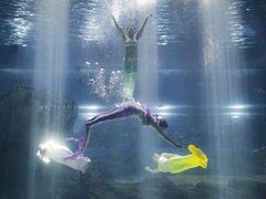 -福州罗源湾海洋世界旅游区