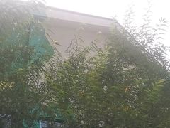 -窦店服务区-停车场