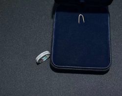 -钻石小鸟钻戒婚戒定制(石路店)