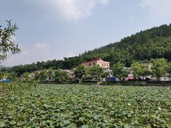 -红山村