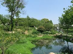 -羊山湖公园