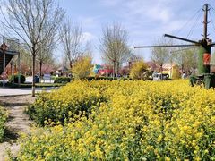 -兴芮温泉度假区