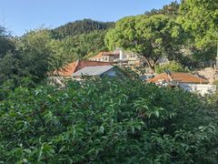 -崂山九水游览区