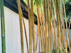 -杭州西湖风景名胜区-白苏二公祠