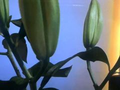 -黄金水汇·美食(春风路店)