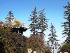 老爷山路边树林中的亭子-老爷山风景区