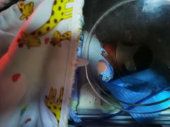 -复旦大学附属中山医院青浦分院