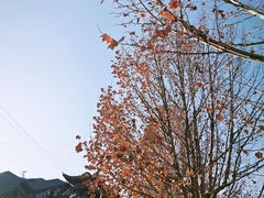 -金城公园
