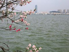 -无锡蠡湖国家湿地公园-蠡园