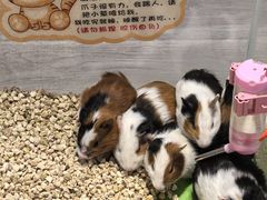-北京华联生活超市(北京常营店)