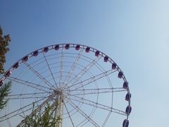 -自然谷恐龙园
