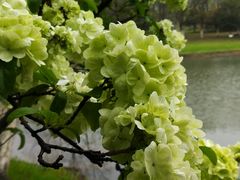 -白塘生态植物园