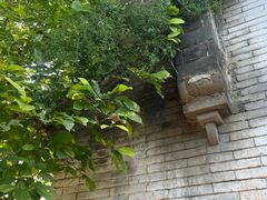 -王家大院