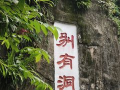 -深圳仙湖植物园
