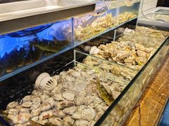 -苏格里岛自助烧烤火锅(花果园兰花广场店)