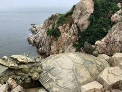 -养马岛旅游度假区
