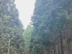 -含鄱口
