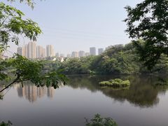 -重庆彩云湖湿地公园