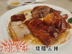 烧腊双拼-發記潮汕大排档(宝翔路店)