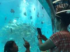 -瑞德姆美人鱼海底演艺主题餐厅(亚龙湾店)