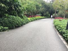 -晓港公园
