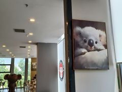 -了不起的考拉咖啡店(高新店)