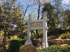 -迎泽公园