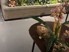 -施奈儿.洗头頭療.按摩SPA.采耳(上梅林店)