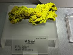 -湖南省地质博物馆