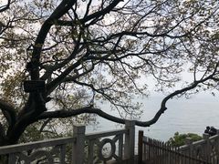 -南诏风情岛