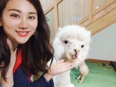 -藦茜花园宠物主题亲子互动体验馆(国顺东路店)