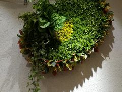 -大葱柠檬茶scallionlemontea(中山八路富力店)