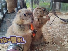 -珠海海泉湾神秘岛亲子乐园