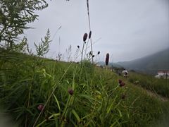 -灵山