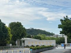 -长洲岛