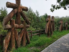 -北京麋鹿生态实验中心