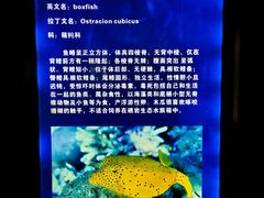-福州罗源湾海洋世界旅游区