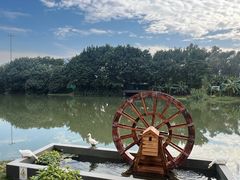 -小晴天咖啡馆
